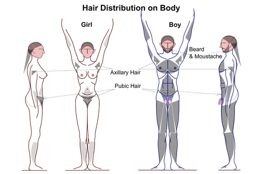 Full Body Laser Hair Removal - Male - SKINFUDGE® - Center of Skin & Hair Excellence 